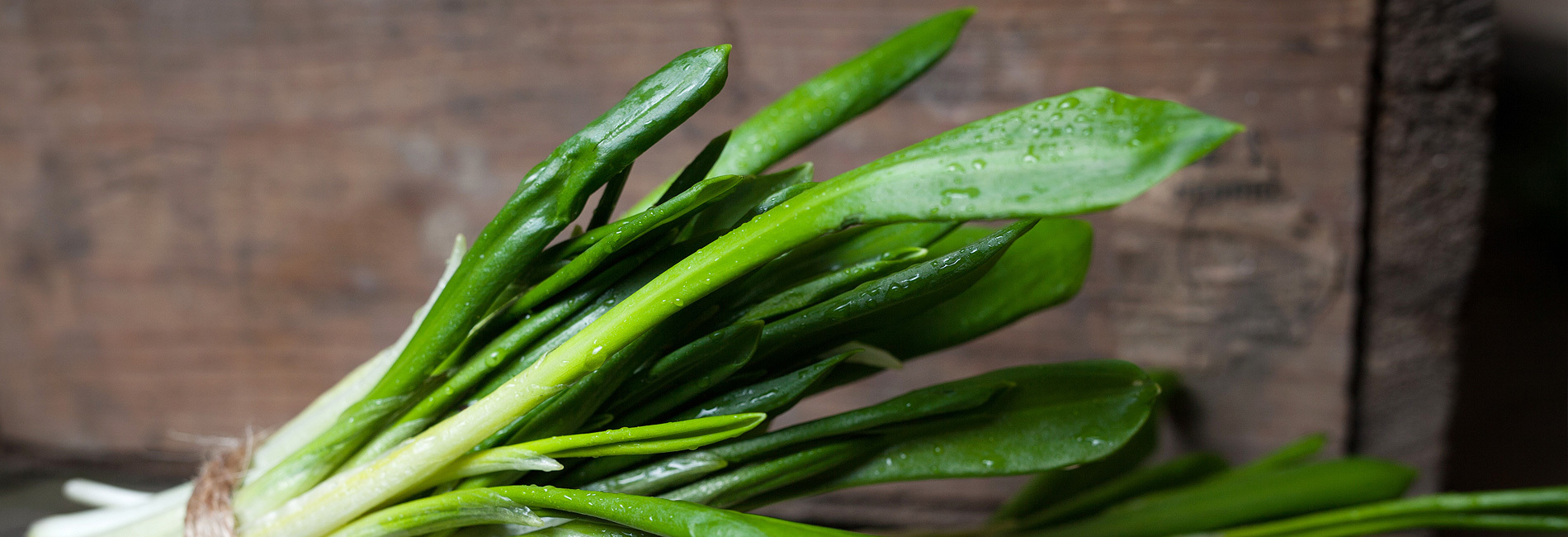 top-background-2.jpg#asset:72